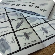 Cestovní PEXESO pro (ne)entomology