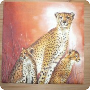 Ubrousek -Gepard oranžový podklad